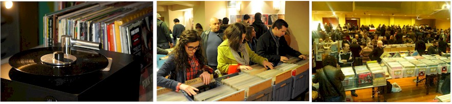 VinylisBack