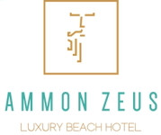 Front Desk Agent - Χαλκιδική