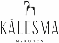 Concierge Agent - Mykonos
