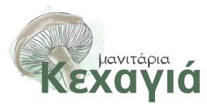 Manager Ξενοδοχείου