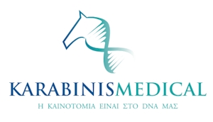Marketing Εxecutive