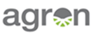 Junior Project Manager