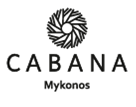 Μηχανικός Έργου (Project Manager)
