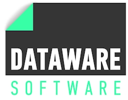 Software Consultant