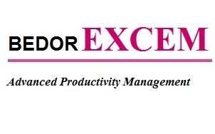 Productivity Consultant
