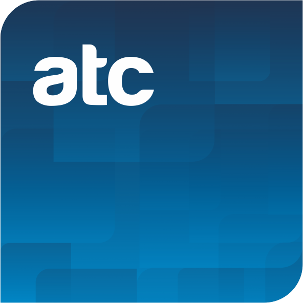 Assistant Auditor